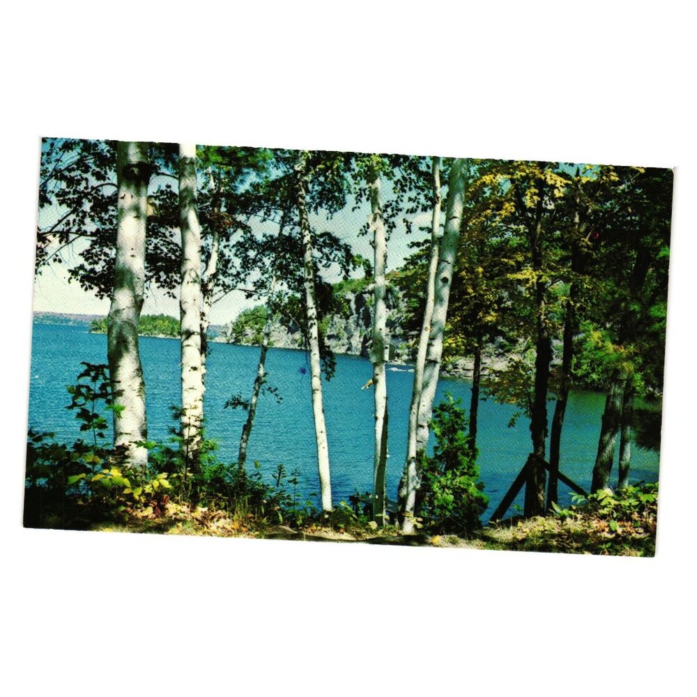 Greetings Hastings Ontario Canada Birch Forest Lake Postcard Thatcher Winger